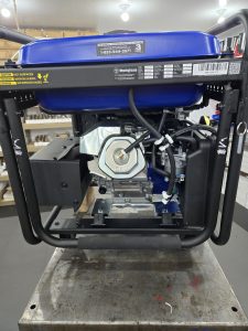 Westinghouse EcoGen 10000