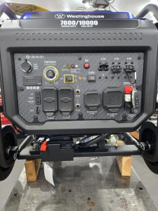 Westinghouse EcoGen 10000